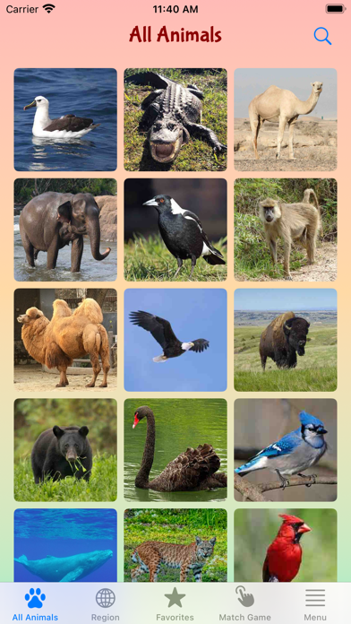 Fun With Animal Sounds Screenshot