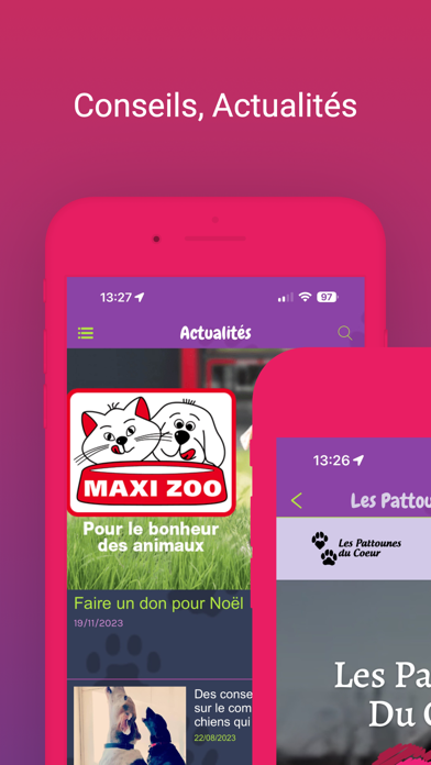 Toutous.ch Screenshot