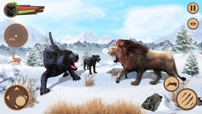 Wild Black Panther Games 3D Screenshot