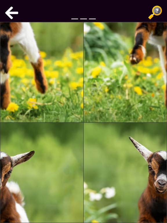 Screenshot #4 pour Animaux & Dinos Rigolos (Full)