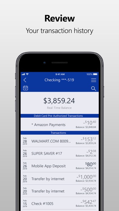 First Savings Bank of Danville Screenshot