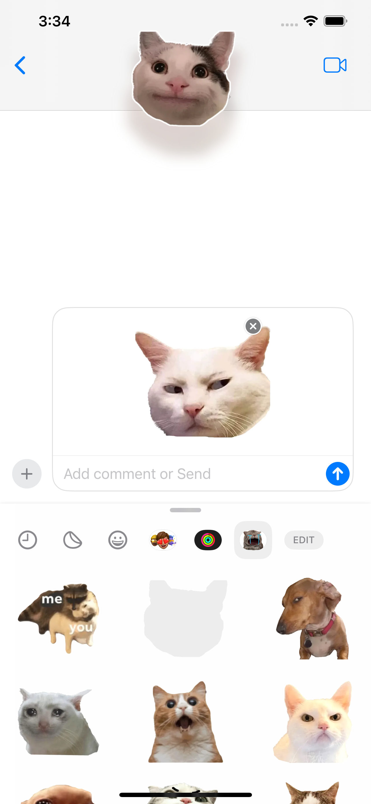 Cute Cat Meme