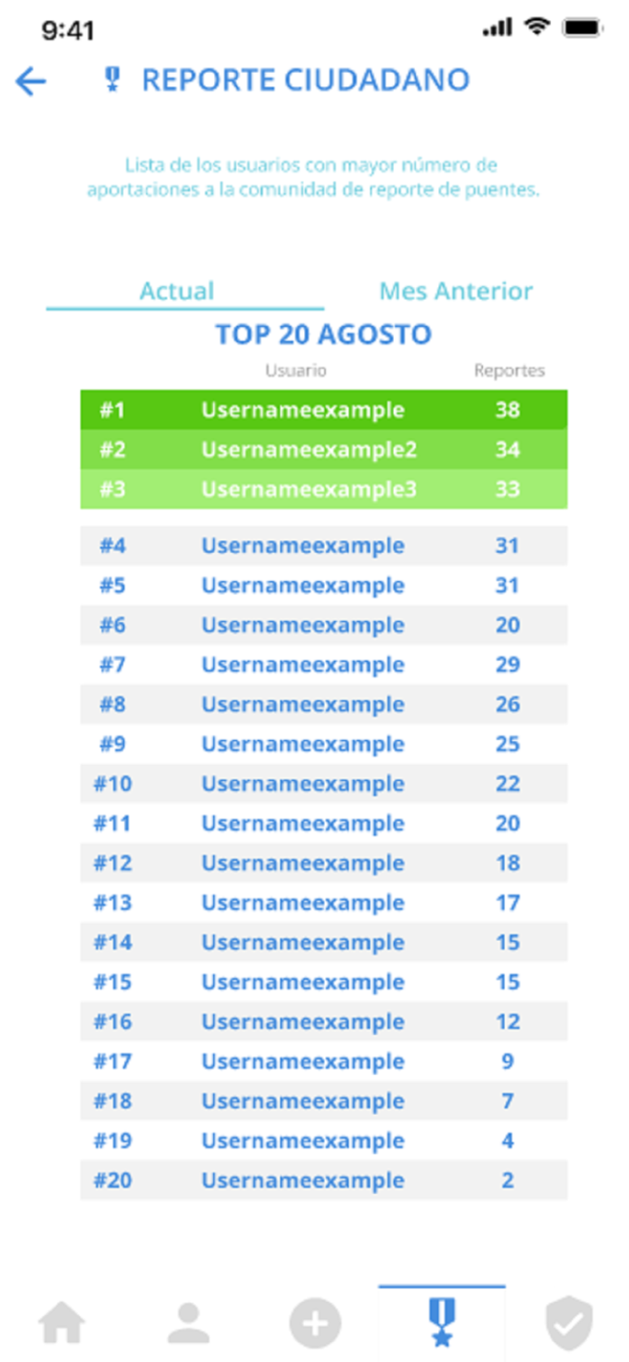 Al Puente  Reporte De Puentes