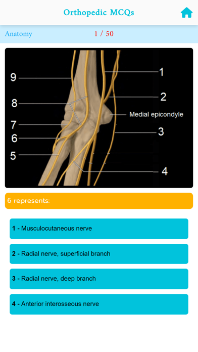 Orthopedic Images MCQs Screenshot
