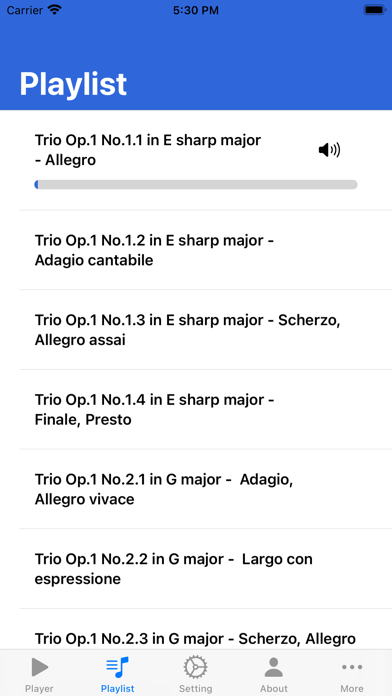 Beethoven Piano Trios Screenshot
