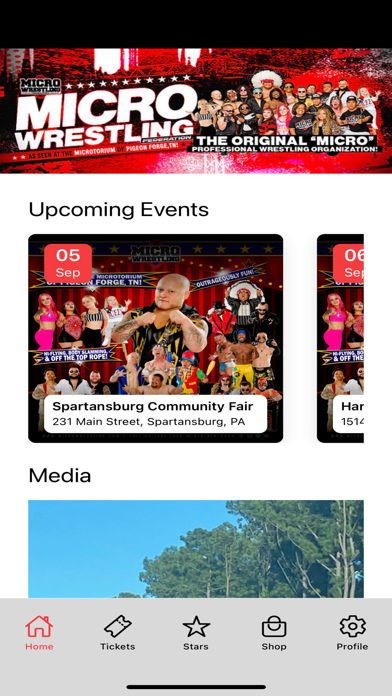Micro Wrestling Screenshot