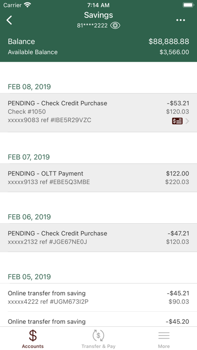 First National Bank of Hope Screenshot