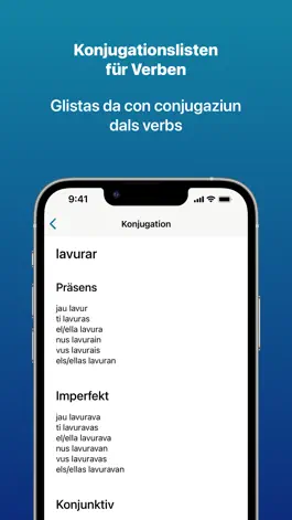 Game screenshot Dicziunari Rumantsch hack