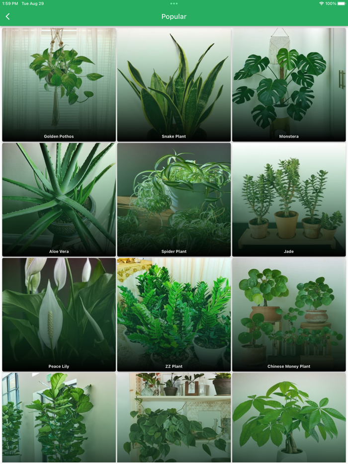 PlantMate - Plant Care Guide