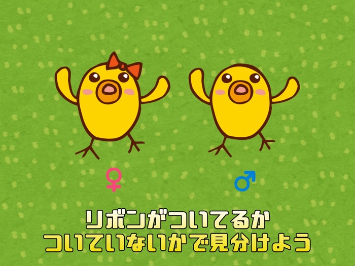 Work game chick sorting