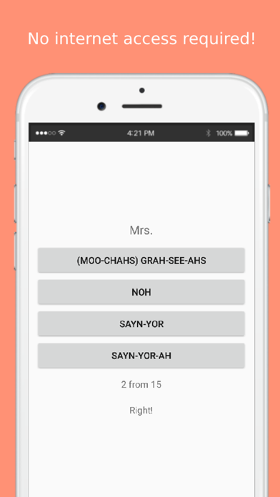 Spanish Phrasebook offline Screenshot