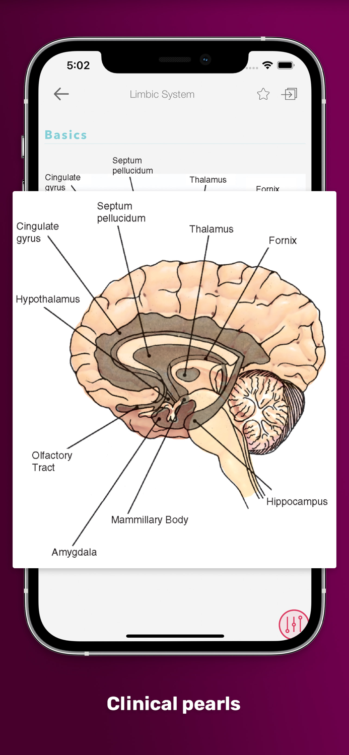 PsychNotes Clinical Pkt Guide