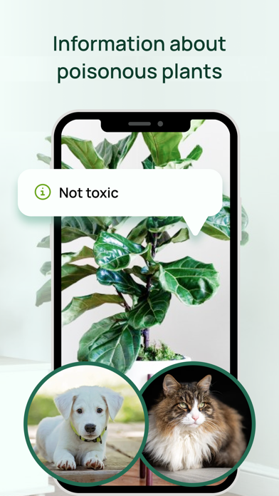 Plant & disease identification Screenshot