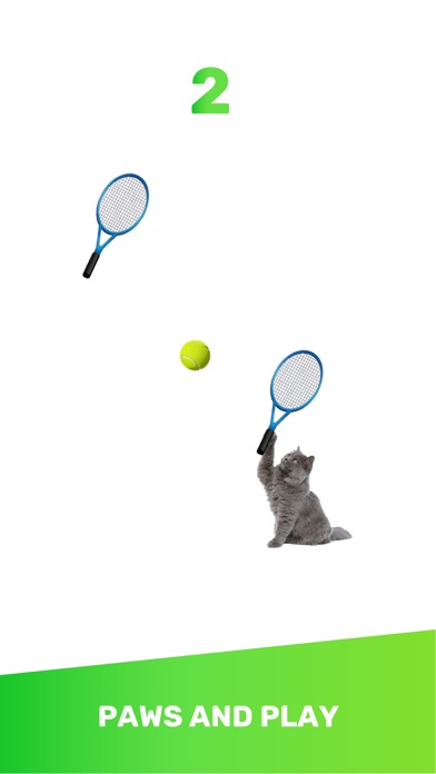Cat Tennis Clash - 3D Tennis Screenshot