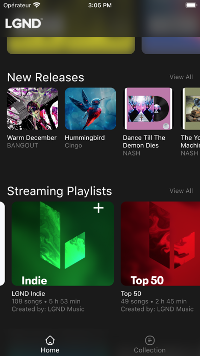 LGND Music Screenshot