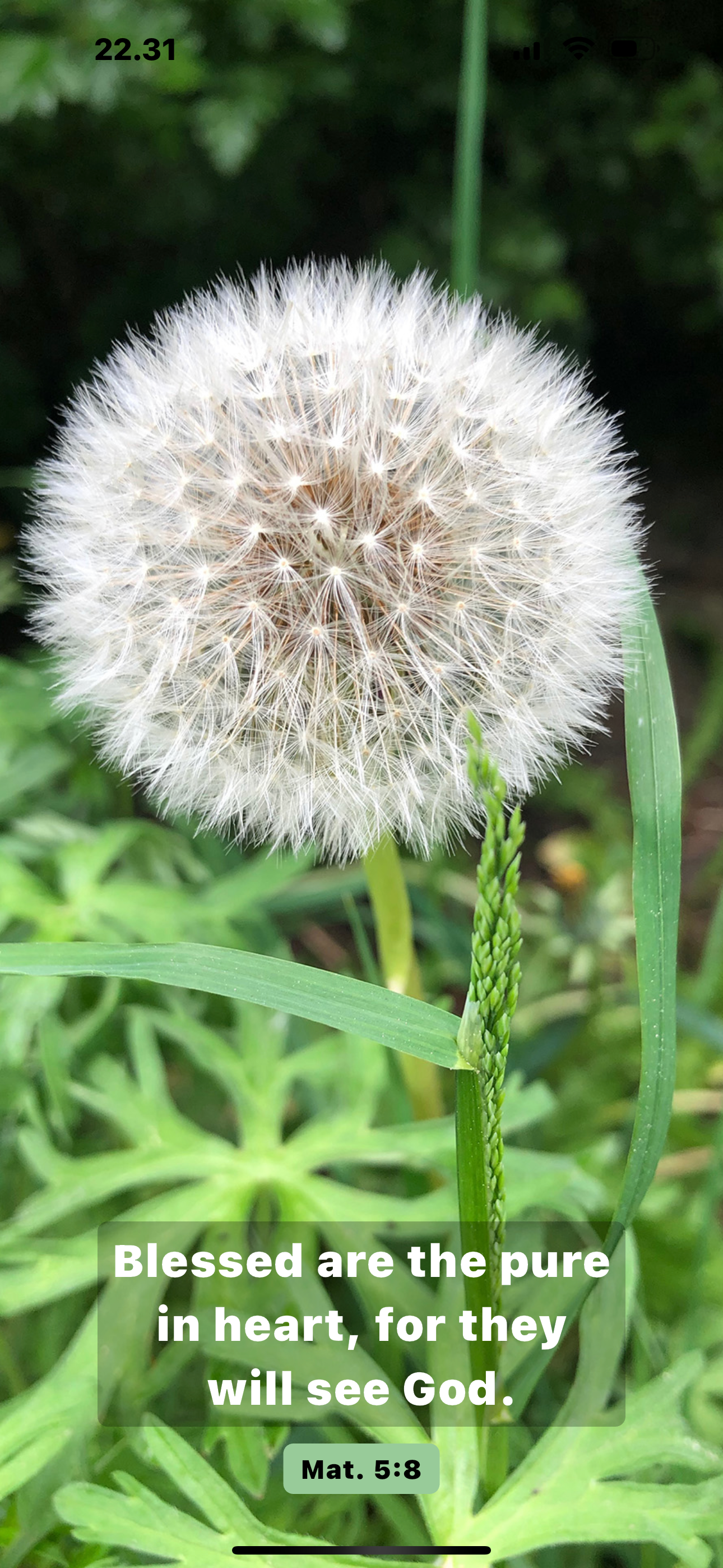 Uplift - Your Daily Scripture