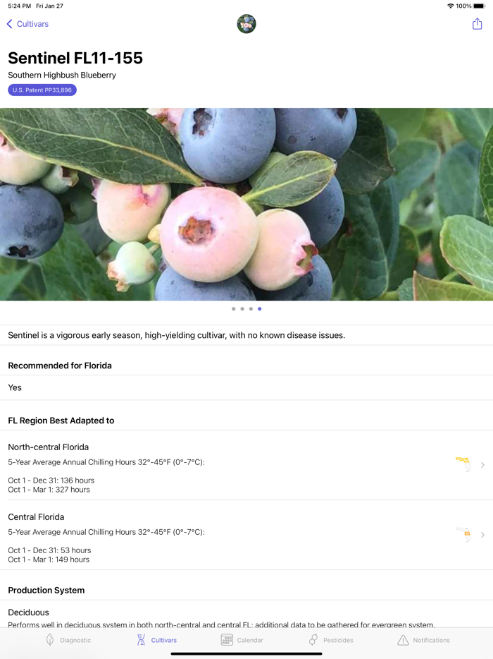 UF Blueberry Growers Guide