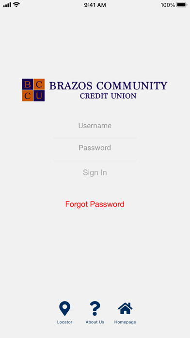 BrazosCCU Screenshot