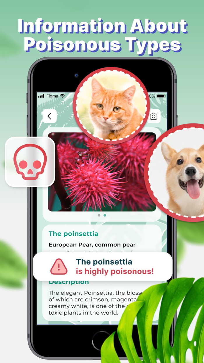 Plant Identifier and Finder App