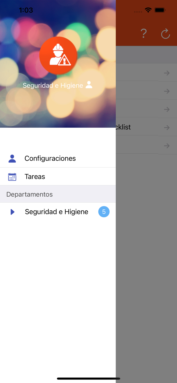 Seguridad Industrial
