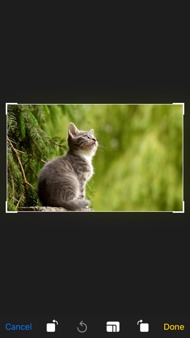 Screenshot #3 pour Image Search & Crop