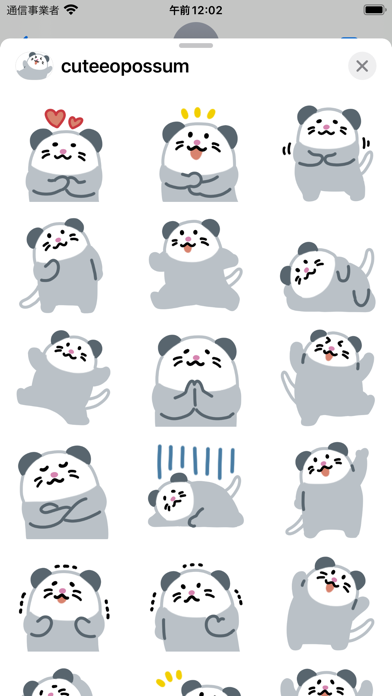 cutee opossum Screenshot
