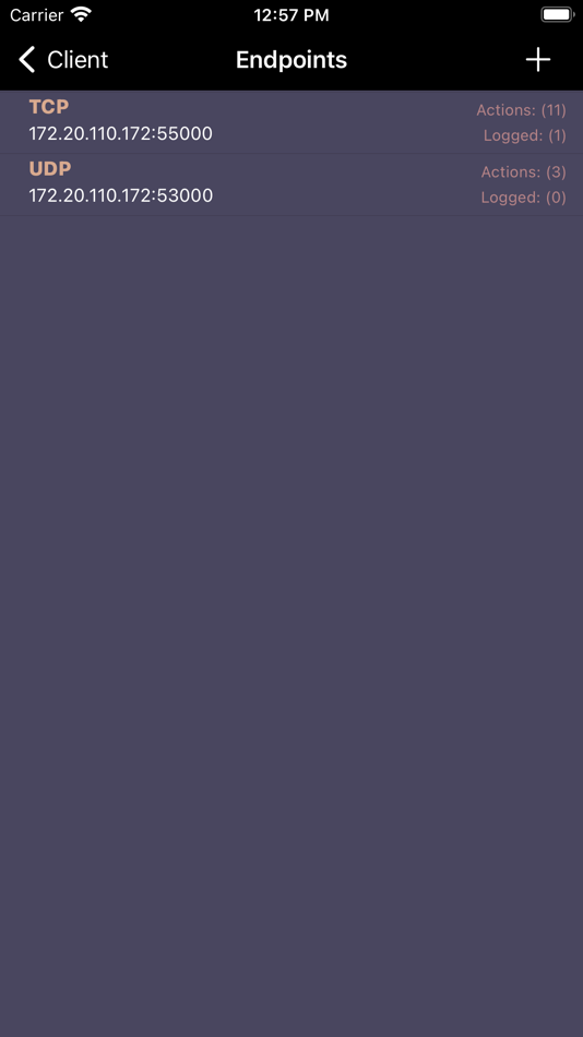 #2. IP Packet Remote (iOS) 由: Mark Roberts Motion Control Ltd