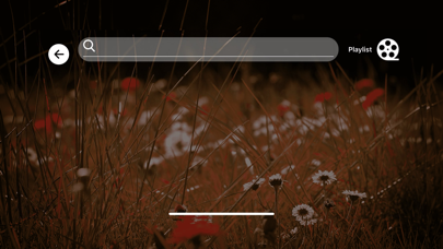 Turan Player Screenshot