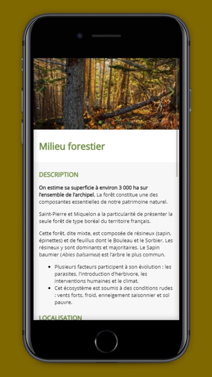 SPM Boreal screenshot-7