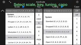 anyscale - tunings & scales iphone screenshot 2