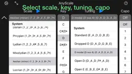 How to cancel & delete anyscale - tunings & scales 2