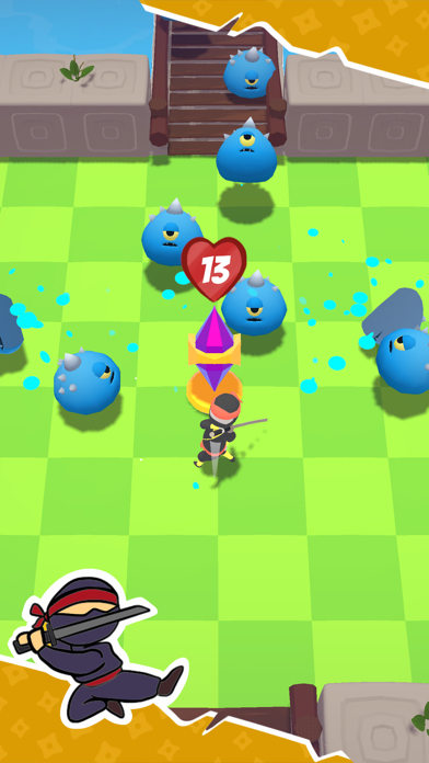 Ninja's Cut Screenshot