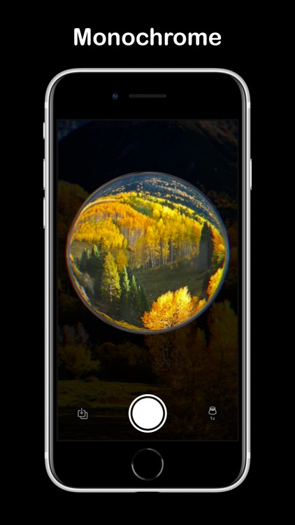 EE35 Film Camera Vintage Dispo screenshot-6