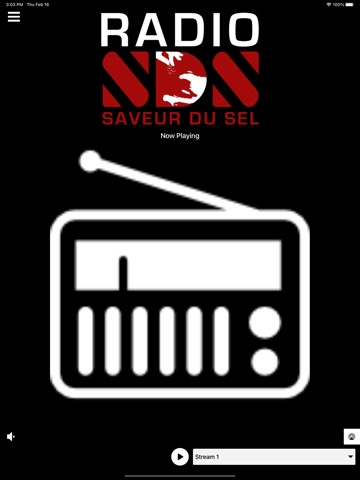 Radio Saveur du Selのおすすめ画像3
