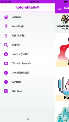 Game screenshot Kolorektali-M apk