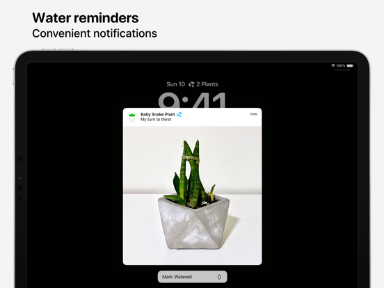 Screenshot #5 pour Plant Daddy — Water Reminders