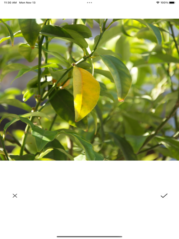Screenshot #4 pour BotanicalGuide