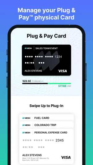 Mesh Payments screenshot 2