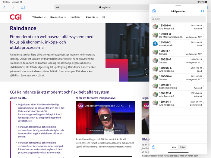 Raindance - Inleverans