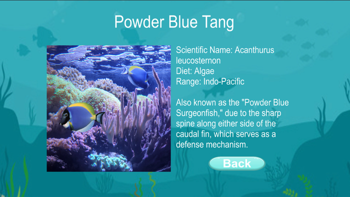 Aquarium Scavenger Hunt