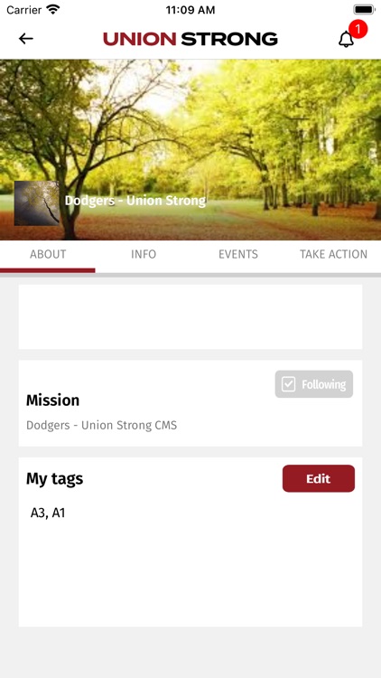 Union Strong screenshot-3