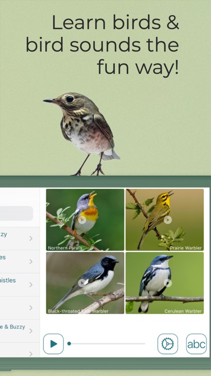 Learn Bird Watching—Larkwire screenshot-9