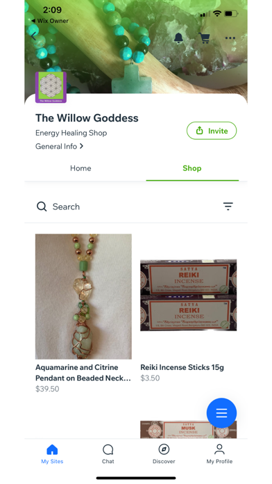 The Willow Goddess Screenshot
