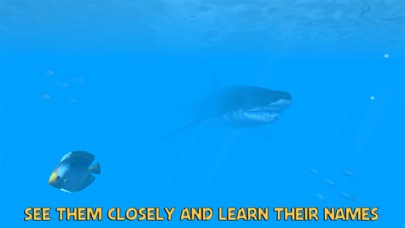 VR Ocean Aquarium 3D Screenshot