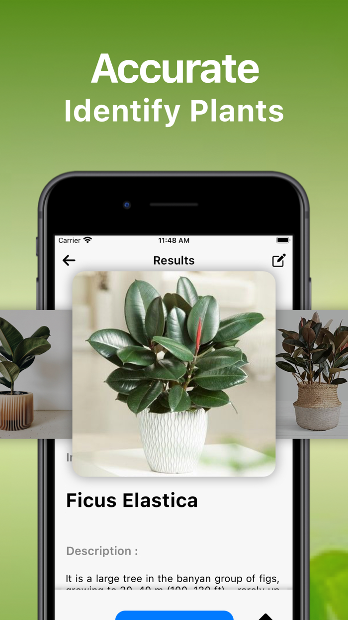 Bird Song Identifier Sounds ID