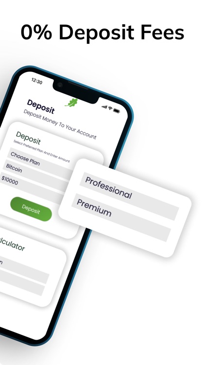 Evergreen oak capitals