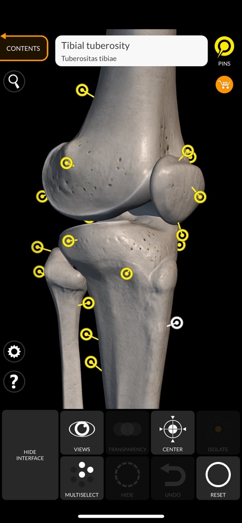 Skeleton 3D Anatomy - Gain insight into the knee joint with realistic bone textures and interactive pins that precisely locate anatomical landmarks like the 'Tibial tuberosity'.