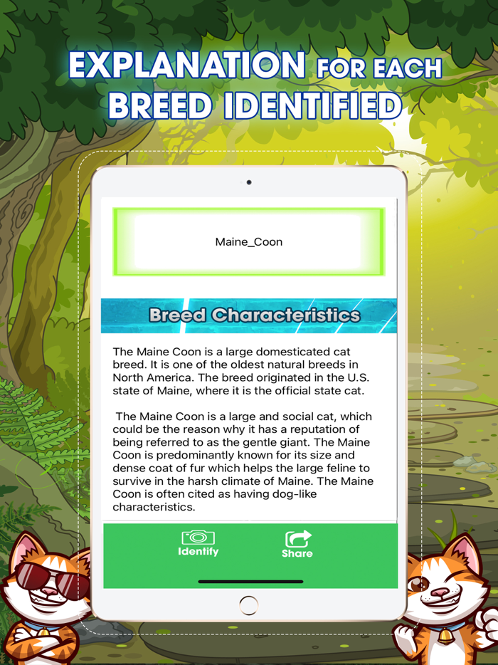 Cat Breeds Identifier PRO