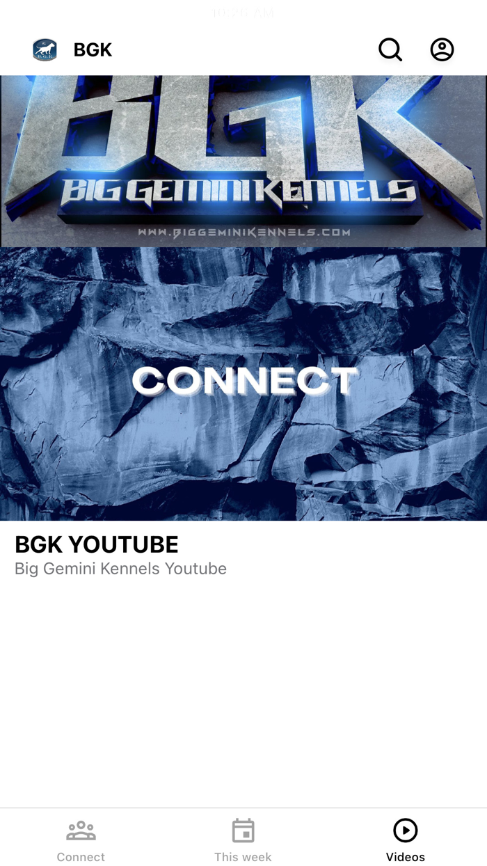 Big Gemini Kennels