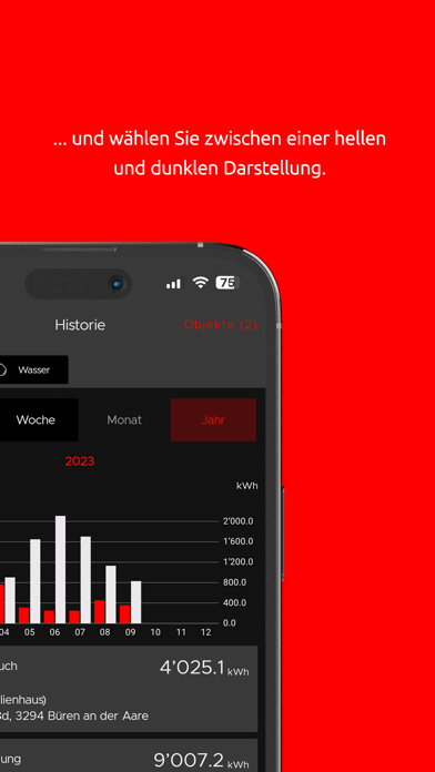 ENERGIEBOARD BÜREN Screenshot
